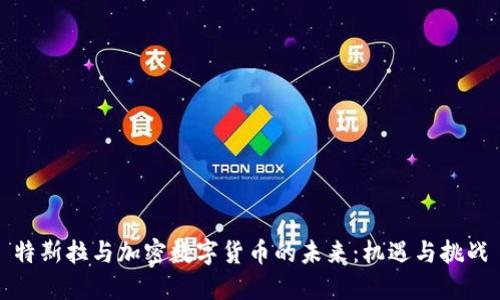 特斯拉与加密数字货币的未来：机遇与挑战