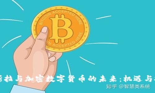 特斯拉与加密数字货币的未来：机遇与挑战