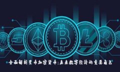 全面解析星币加密货币：未来数字经济的重要角