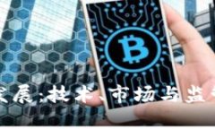 加密货币的发展：技术、市场与监管的综合考量